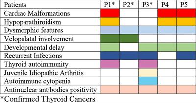 Risk of thyroid neoplasms in patients with 22q11.2 deletion and DiGeorge-like syndromes: an insight for follow-up